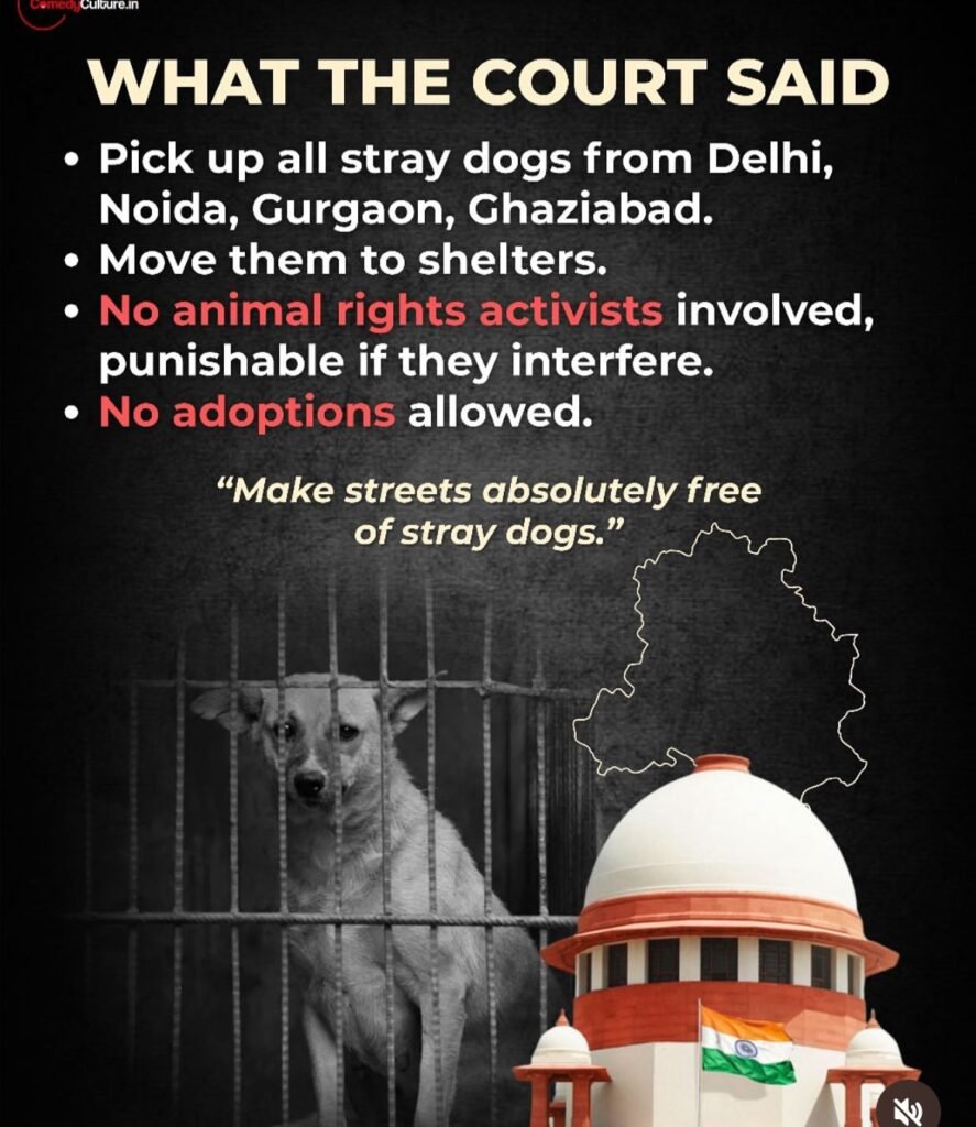 सुप्रीम कोर्ट ने stray डॉग्स को लेकर 11 अगस्त को ये निर्देश दिए थे